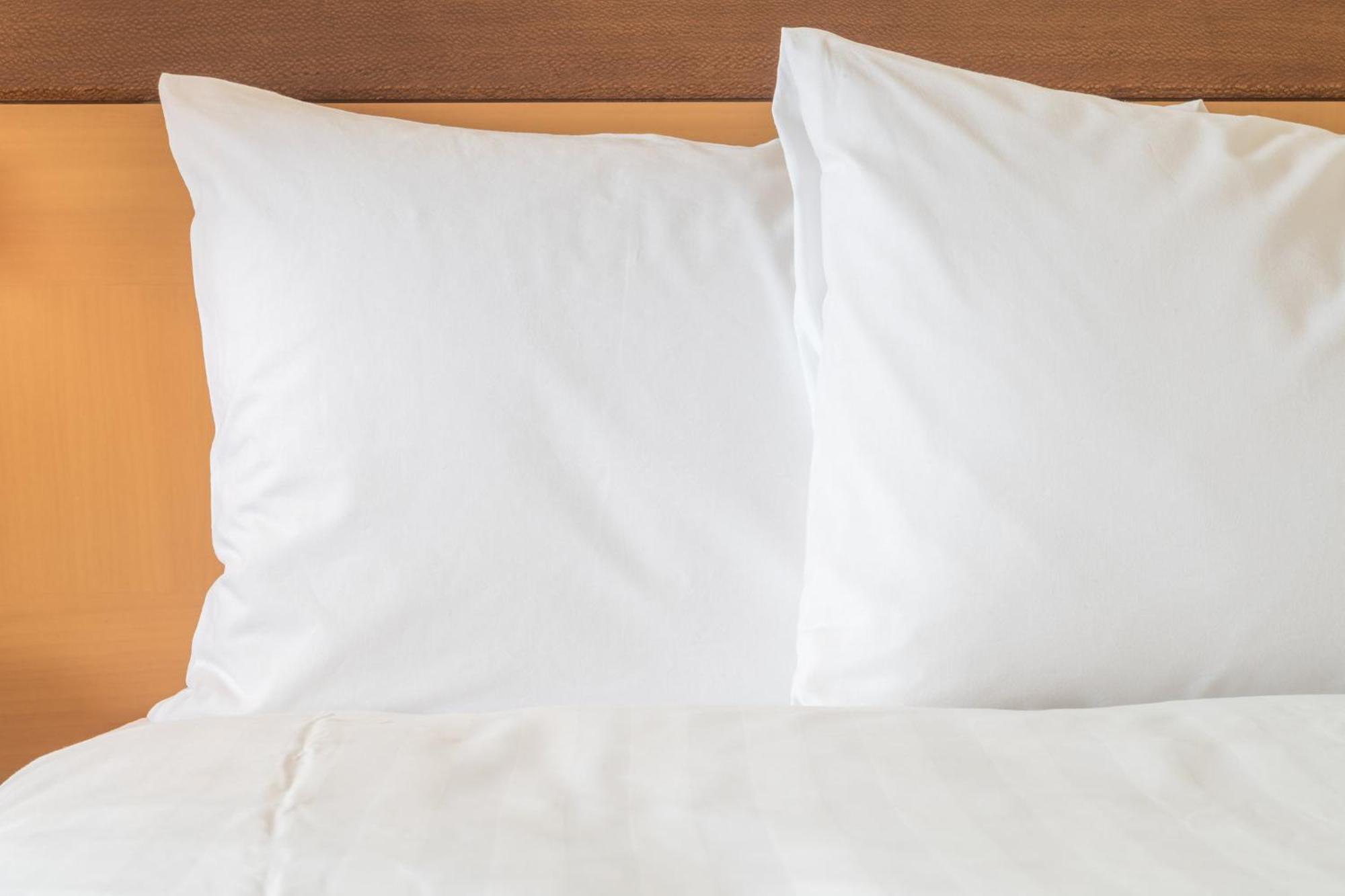 Holiday Inn Express Calgary South By Ihg מראה חיצוני תמונה